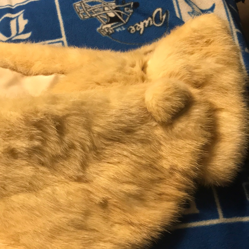 Light colored mink